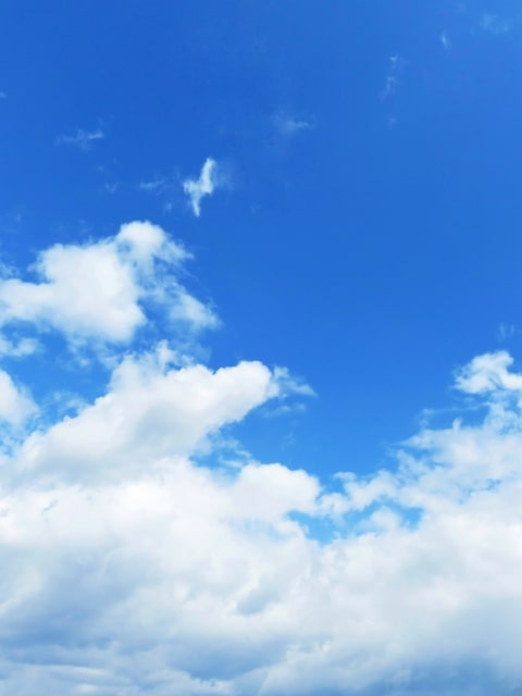 青空に浮かぶ鳥の形の雲